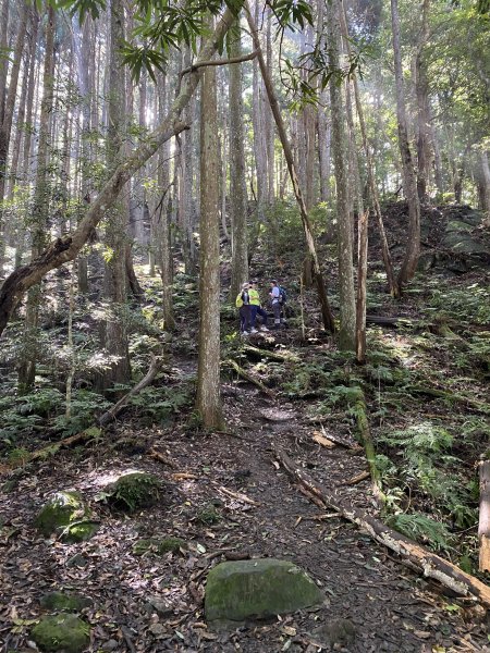 20250713-Ep.09油羅山步道-2025森遊竹縣皮皮獅探險隊2851882