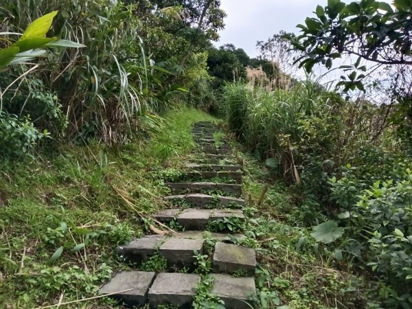瑞芳區基隆山步道O型3010169