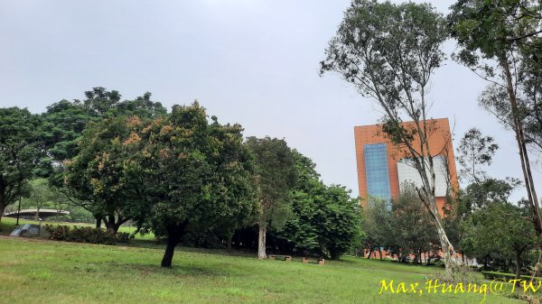 《台中》雙園連走｜東大公園連走都會公園202310072305956