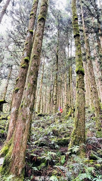【宜蘭。大同】  三個女生的森林漫遊。  小百岳集起來。 編號85小百岳~三星山登山步道1665009