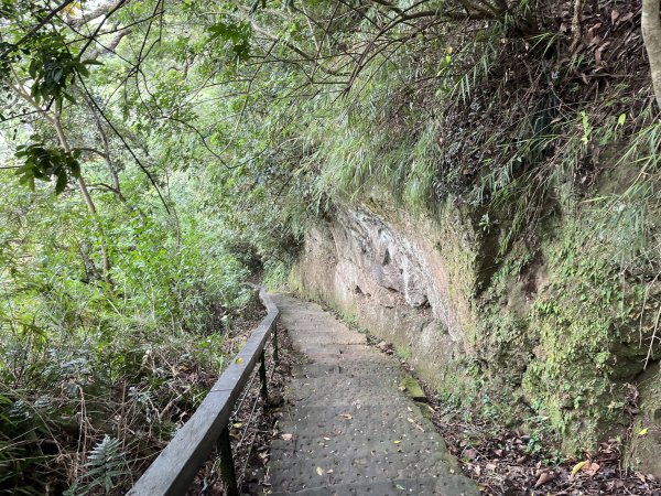 [皮皮獅Hike客任務-04/10] 2024_0721 獅山古道2557464