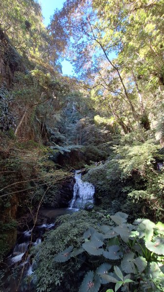 20251116 武界壩－摩摩納爾瀑布2937966