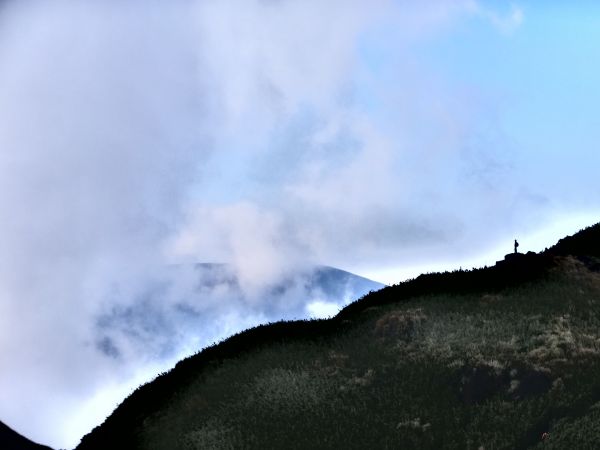 芒花如雪  漫遊草山223123