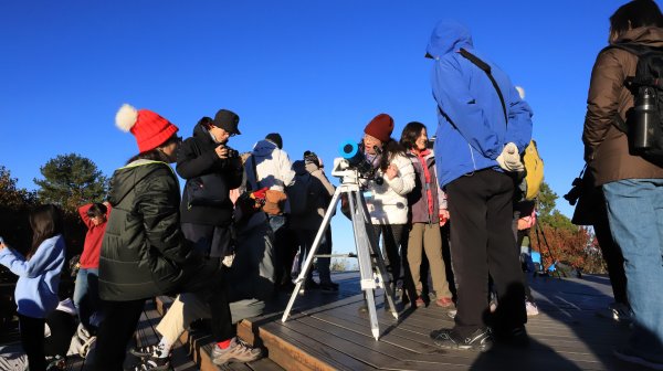 【活動】春回大地 賞花觀星首選阿里山