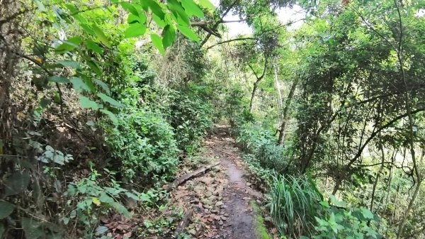 20250421_阿白縱走2774478