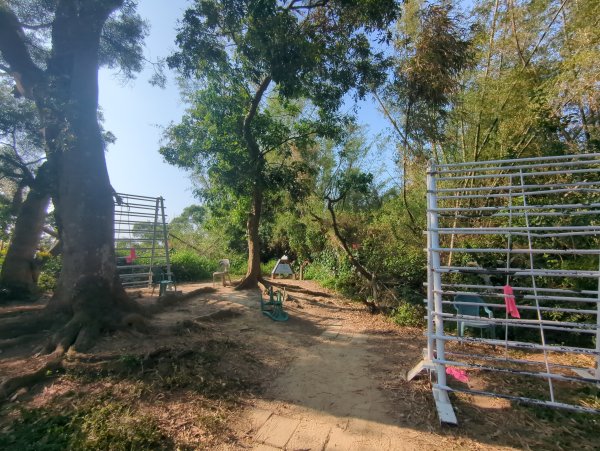 2025.03.24－大崗山2746338