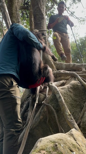 苗栗金童山、玉女山、汶水山2672878