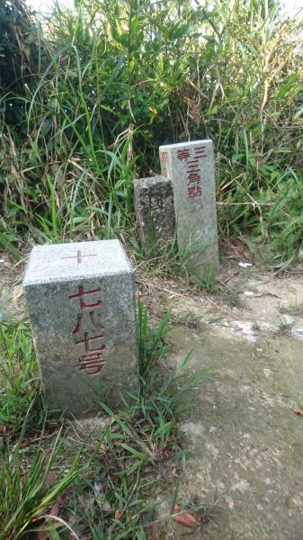 五指山古道O走-友蚋山-新山夢湖178455