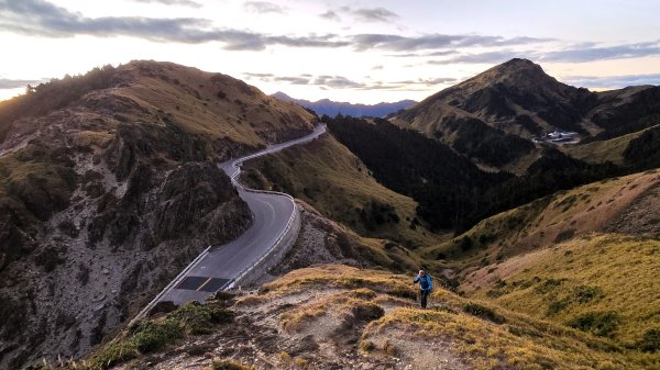 貼近山林來走個稍微不一樣風景的合歡山2989410