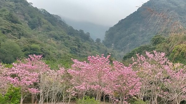 塘湖古道VS甕缸潭步道2130243