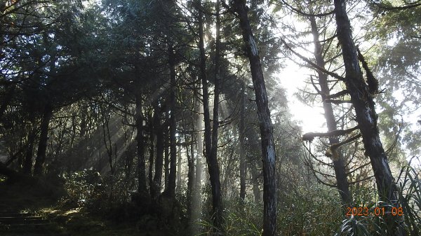 再衝太平山賞日出/雲海雲瀑同框&霧虹觀音圈同框&首登望洋山1/81986380