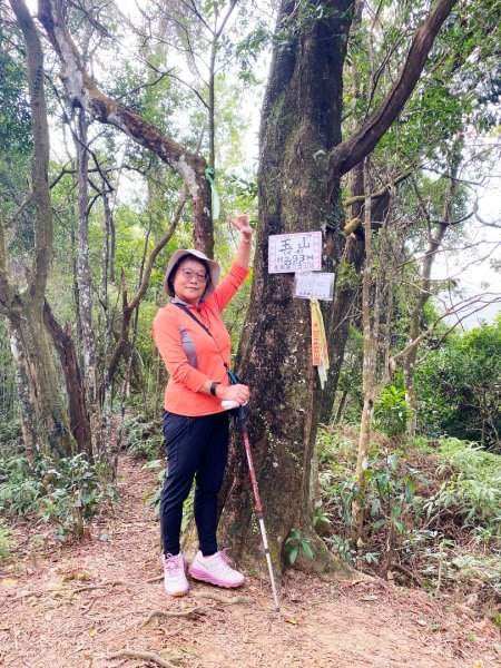 太元宮-關西玉山前-玉山/南柯山-東獅頭山-赤柯山南峰-赤柯山-太元宮 O繞2959297