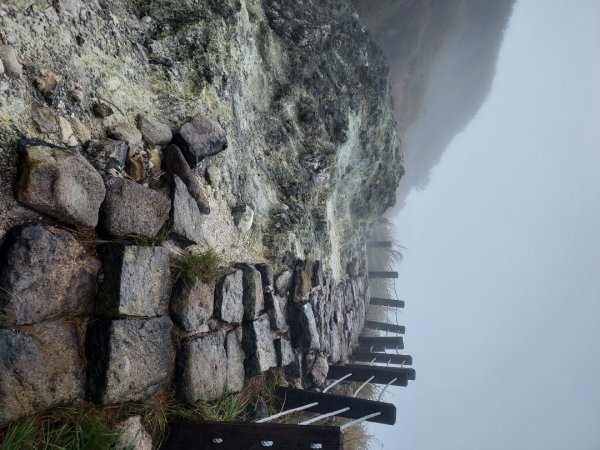 小油坑～七星山～冷水坑～擎天崗1940727