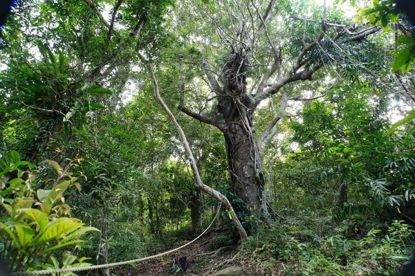 宜蘭 南澳 澳花山2881287