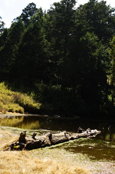 武法奈尾山天巒池872508