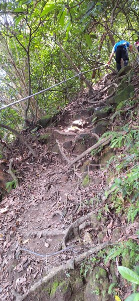 【2024觀音觀鷹尋寶任務】一日走完七條步道完成!2508389