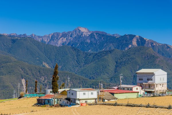 福壽山千櫻園櫻花盛開2724939