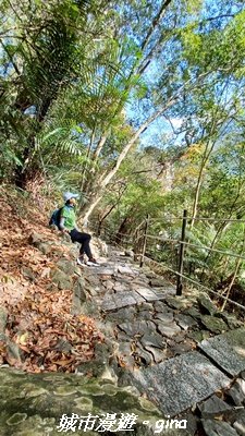 【台中和平】捎來步道x2025山谷燈光節2957989