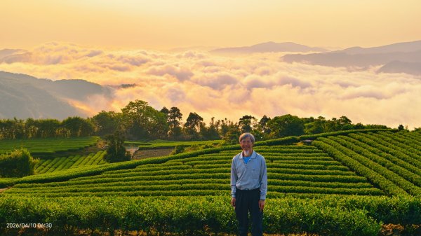 #坪林 #日出 #雲海 #茶園 4/10封面