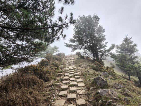 [山海圳_聖山之路_第二段3/4] 2026_0802 麟趾山3109246
