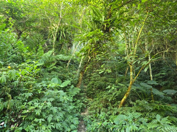 石牛山（小百岳）2909987