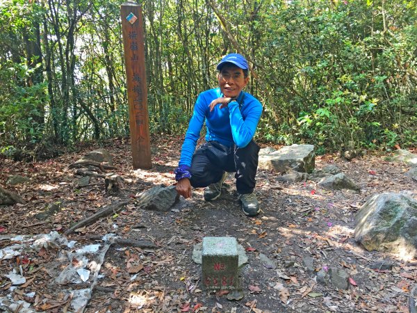 橫嶺山連走鳶嘴山2019/4/30575793