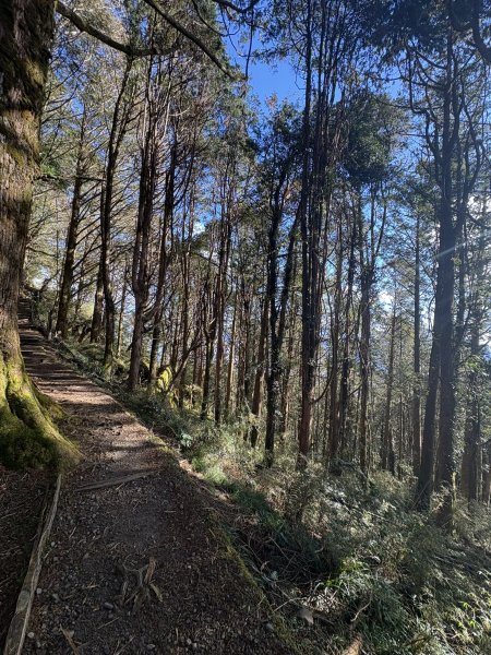 20251225塔山步道(大塔山)2970347