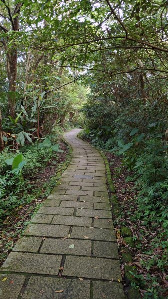 臺北大縱走第六段1779610