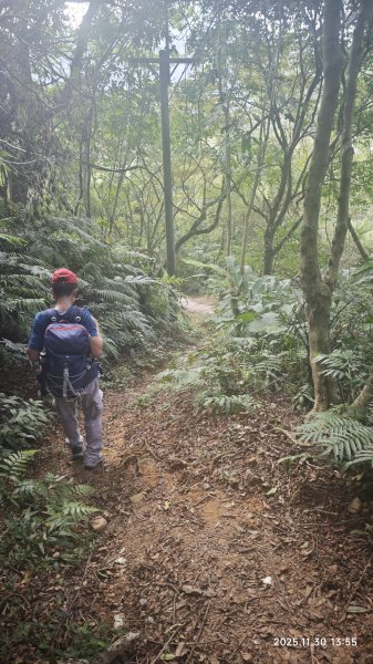 2025-1130 新店三(二)潭縱走2966924