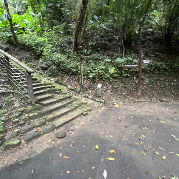 20231030_六寮古道、寶山水庫環湖步道2762932
