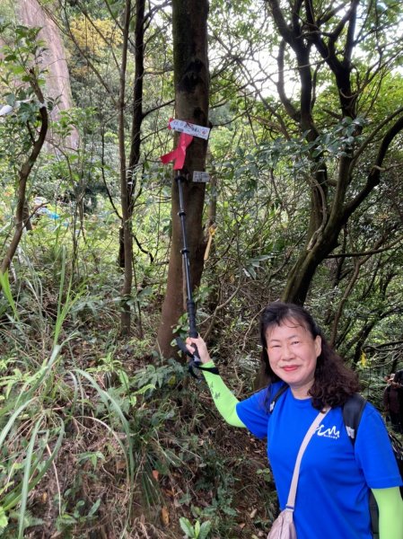 【瑞芳四秀】白象山(又名弘明山)→秀崎山→瑞芳山→龍潭山1651421