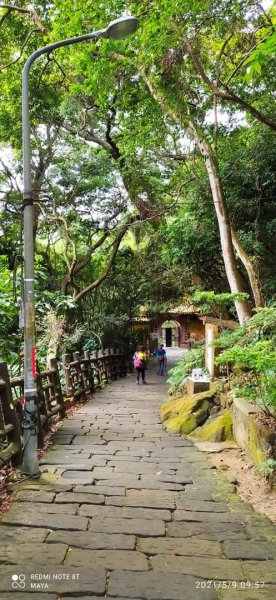 天上山（小百岳集起來）- 前半段路徑和靄可親、後半段面目猙獰1379324