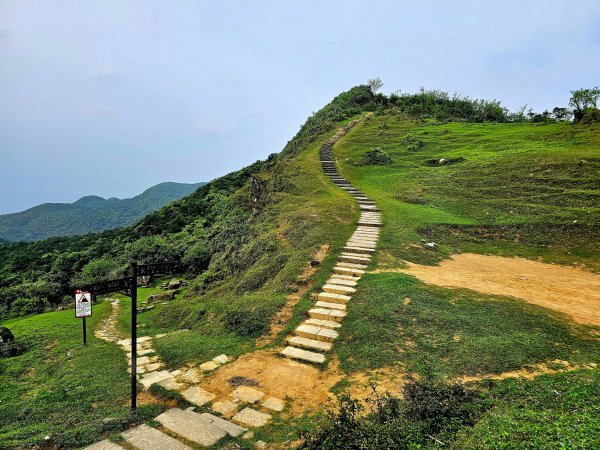 小百岳集起來-灣坑頭山2185207