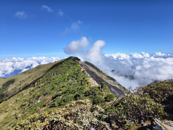 北一段(11/14)南湖北峰 2025_0906~132887323