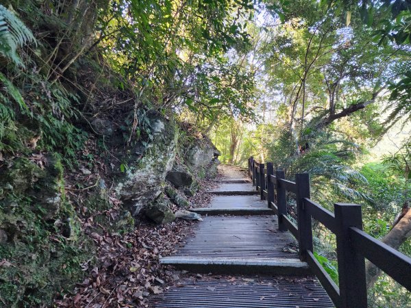 新北烏來｜內洞國家森林遊樂區步道群2904740