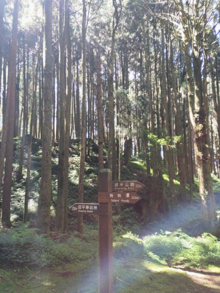 小百岳(59)-大塔山-202209251878753