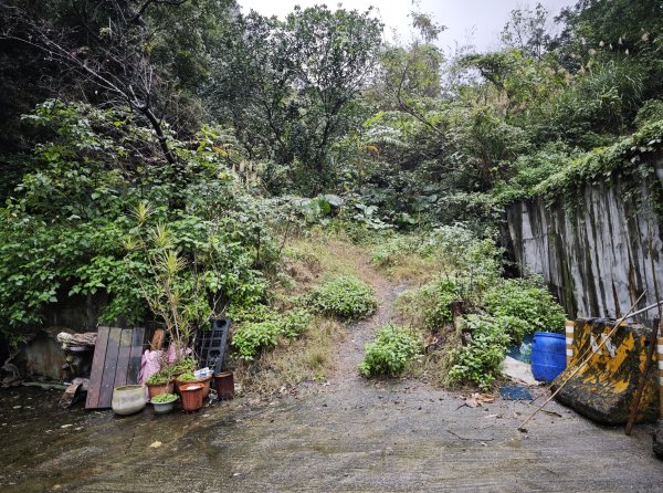 2026_0131 獅球嶺中央砲台2997605