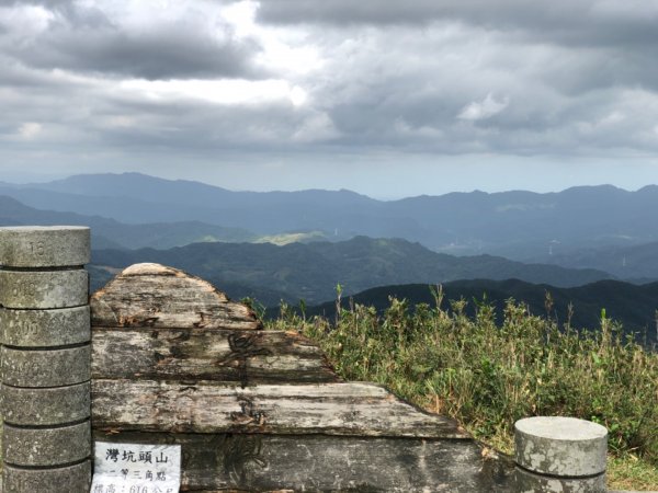 桃源谷秋芒四射草嶺731063