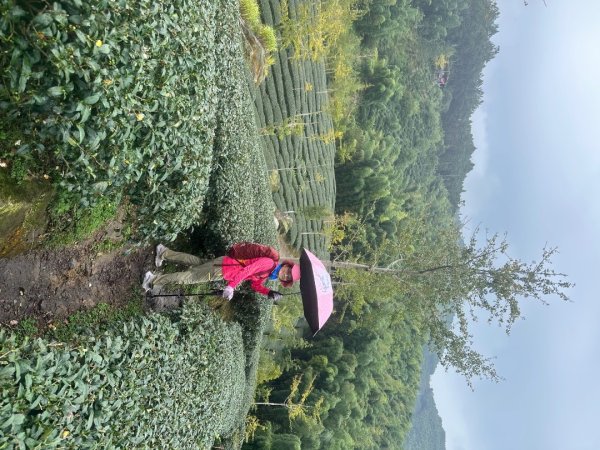 溪頭山、竹崙山、志騰山、妖怪村2877887