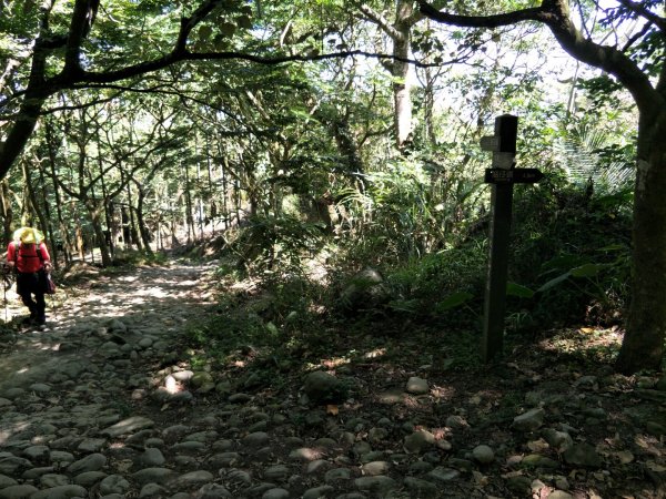 小百岳:台南大凍山 台南百大步道1384170