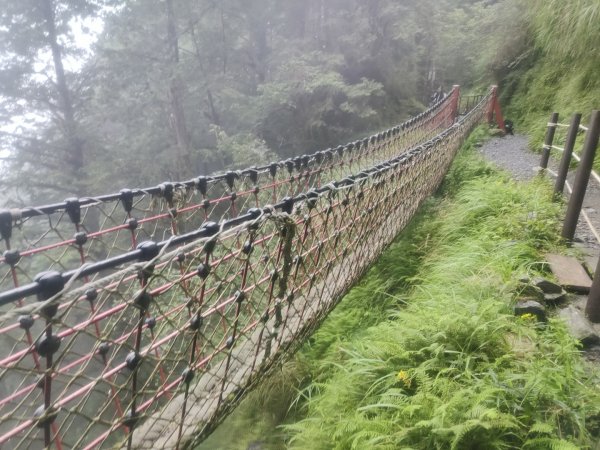 1150728太平山見晴懷古步道3096868