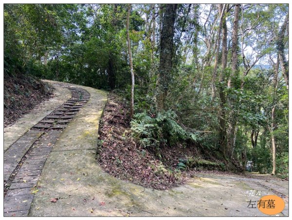 茶園坪山 O型路線2750570