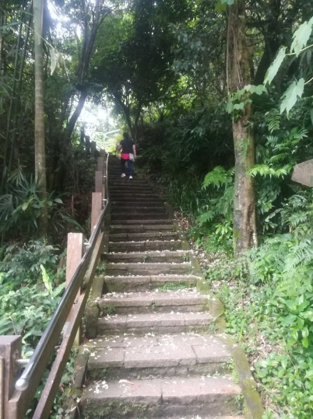 小百岳013號～南港山，幾乎整路爬樓梯，不怕樓梯者限定1348538