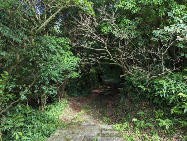 2023-05-27 臺北大縱走第一段2792689