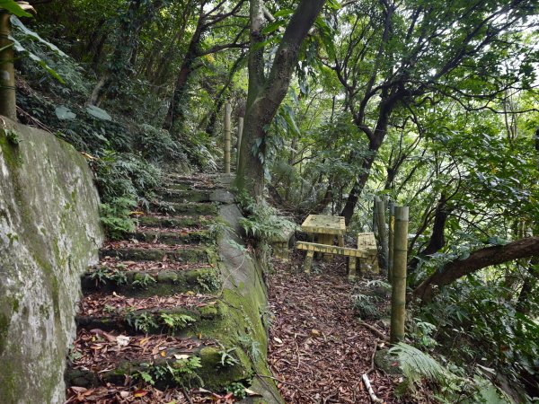 [淡蘭古道] 2026_0531 北路第一段_苧仔潭古道3070494
