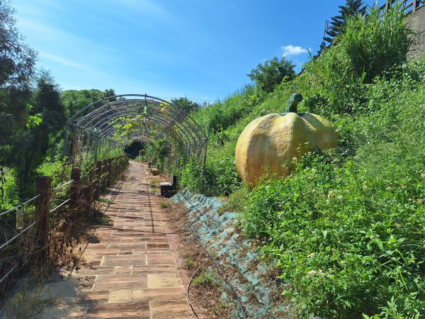 龍昇湖環湖步道+鄭漢步道202509132894818