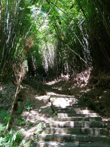 新北~360度極佳視野。八里觀音山硬漢嶺1152605