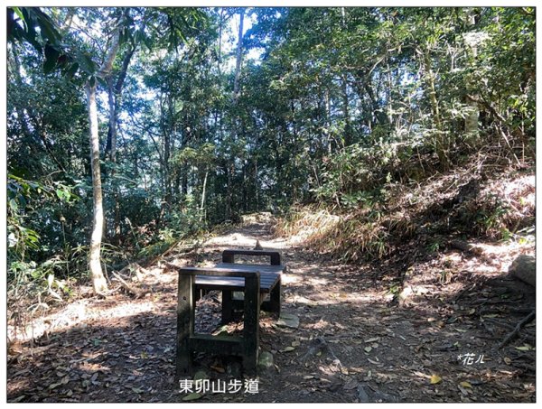 東卯山、東卯山西峰、東卯山西南峰 連走2932796