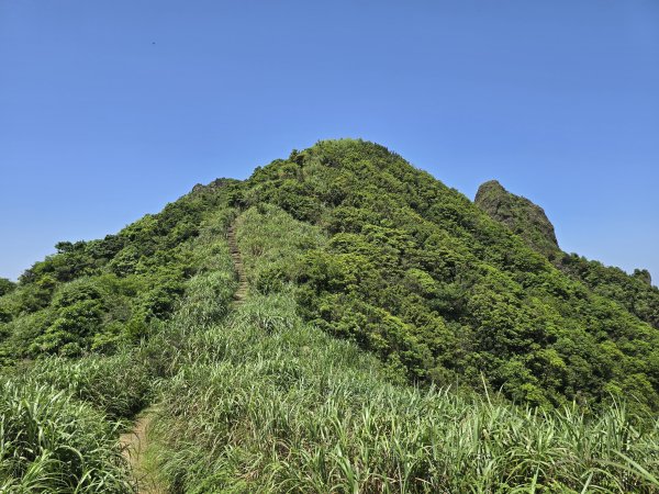 20260426 新北金瓜石半屏山無耳茶壺山3050522