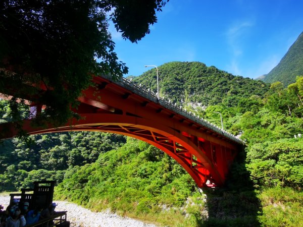 夢幻河谷，花紋石壁，碧綠溪水1792645